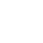 Custom web development